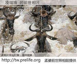 凌瑞珠 的前世相片