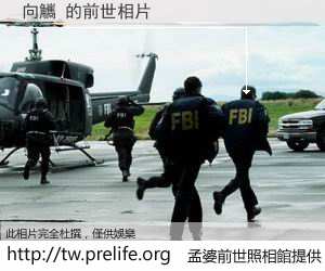 向觿 的前世相片