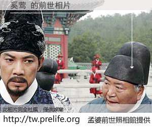 奚莺 的前世相片