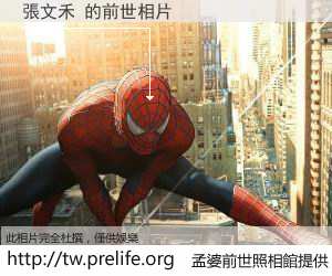 張文禾 的前世相片