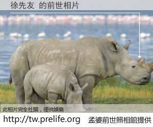 徐先友 的前世相片