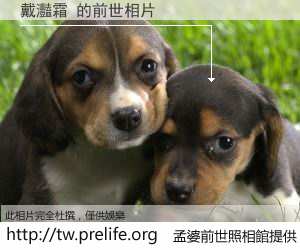 戴灩霜 的前世相片