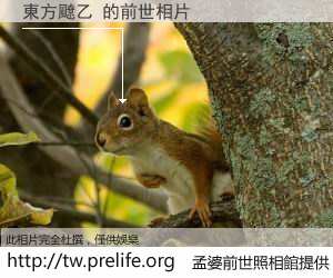 東方飉乙 的前世相片