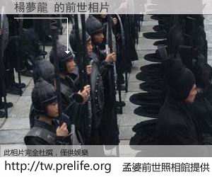 楊夢龍 的前世相片
