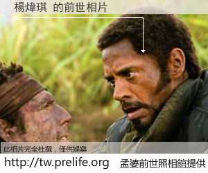楊煒琪 的前世相片