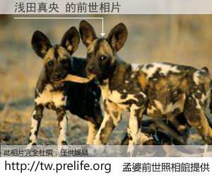 浅田真央 的前世相片