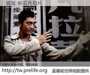 狐狐 的前世相片