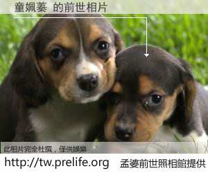 童姵蓁 的前世相片