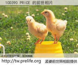 10D390 PRICE 的前世相片