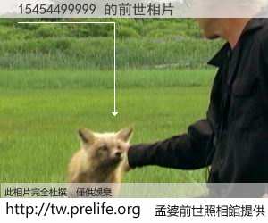 15454499999 的前世相片