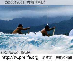 286501m001 的前世相片