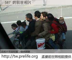 587 的前世相片