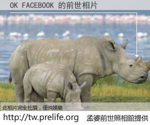 OK FACEBOOK 的前世相片