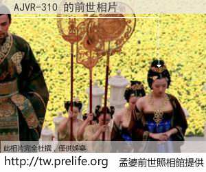AJVR-310 的前世相片