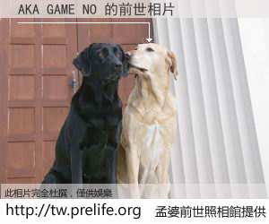 AKA GAME NO 的前世相片
