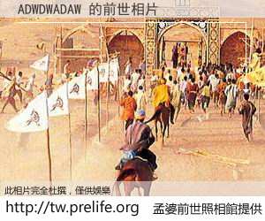 ADWDWADAW 的前世相片