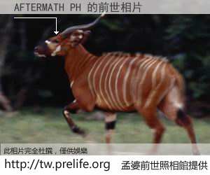 AFTERMATH PH 的前世相片