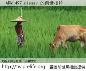 ARM-497 missav 的前世相片