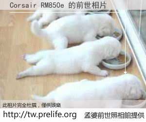 Corsair RM850e 的前世相片