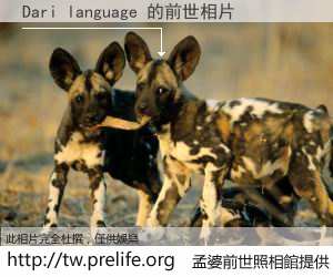 Dari language 的前世相片