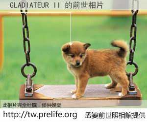 GLADIATEUR II 的前世相片