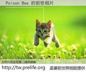 Poison Bee 的前世相片