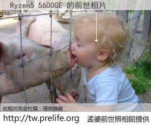 Ryzen5 5600GE 的前世相片