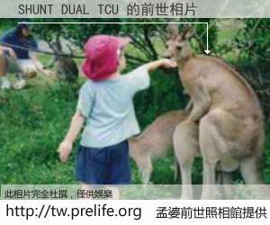 SHUNT DUAL TCU 的前世相片