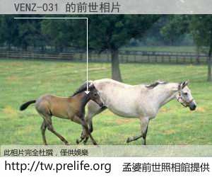 VENZ-031 的前世相片