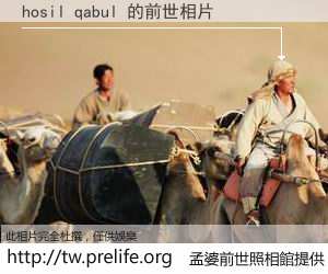 hosil qabul 的前世相片