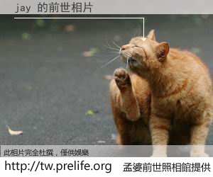 jay 的前世相片