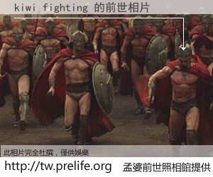 kiwi fighting 的前世相片