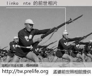linko  nte 的前世相片