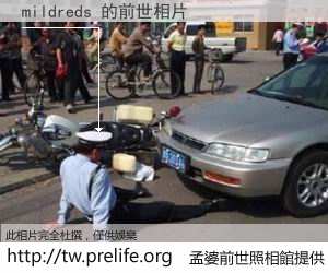 mildreds 的前世相片