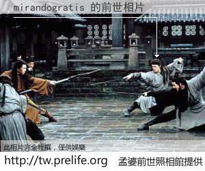 mirandogratis 的前世相片