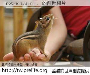 notre s.a r.l. 的前世相片