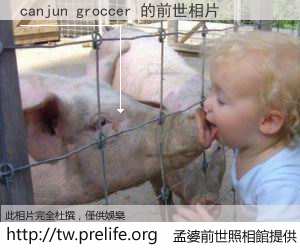 canjun groccer 的前世相片