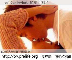 cd C:/iv-bot 的前世相片
