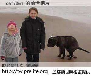 daf78mm 的前世相片