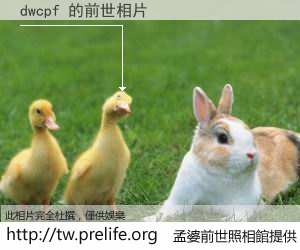 dwcpf 的前世相片