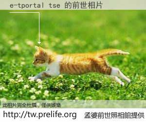 e-tportal tse 的前世相片