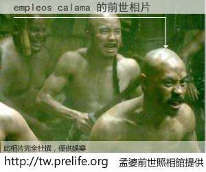empleos calama 的前世相片
