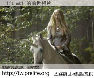 fft mkl 的前世相片