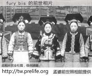fury bis 的前世相片