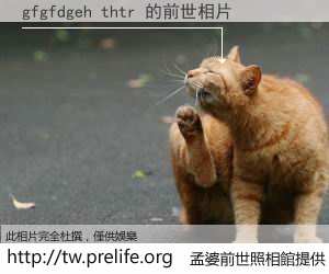 gfgfdgeh thtr 的前世相片