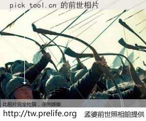 pick tool.cn 的前世相片