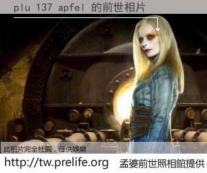 plu 137 apfel 的前世相片