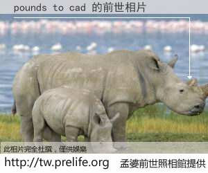 pounds to cad 的前世相片