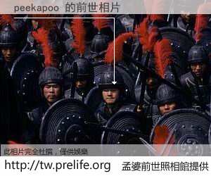 peekapoo 的前世相片