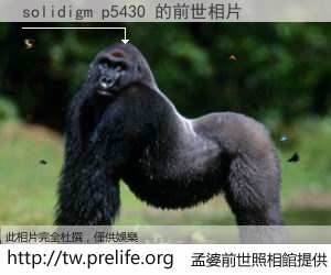 solidigm p5430 的前世相片